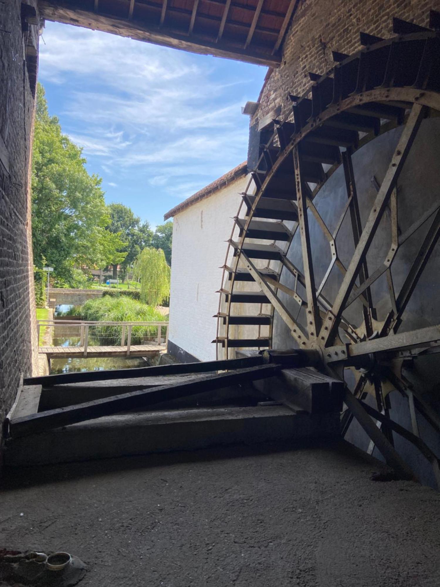 Vakantiewoning Wurfeldermolen Maaseik Dış mekan fotoğraf
