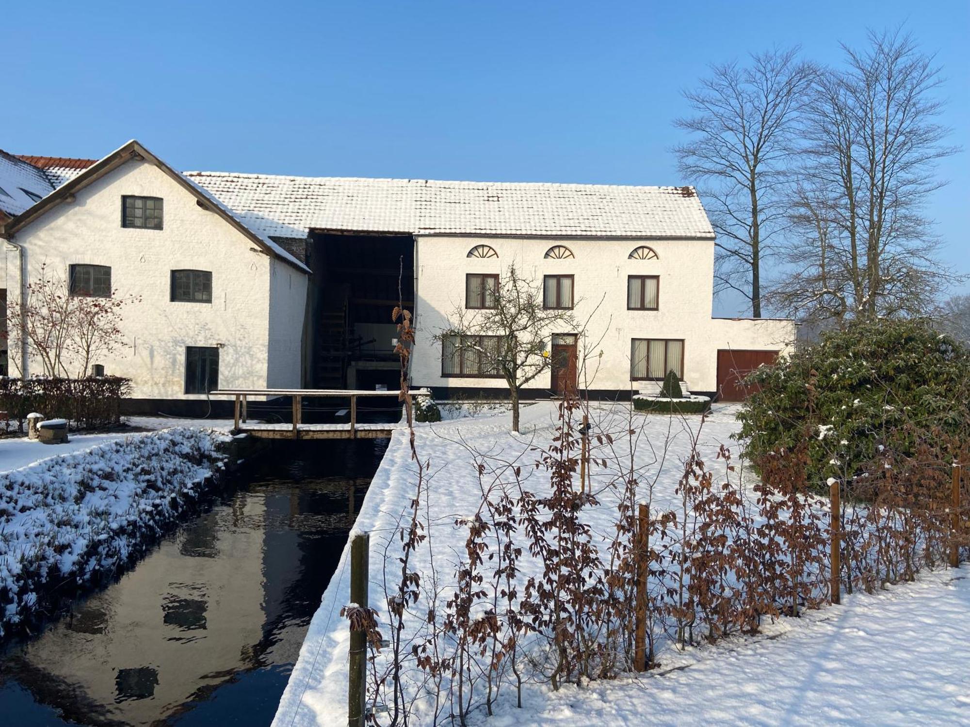 Vakantiewoning Wurfeldermolen Maaseik Dış mekan fotoğraf